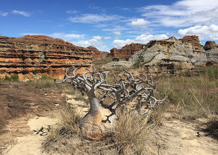 Une ville de Madagascar